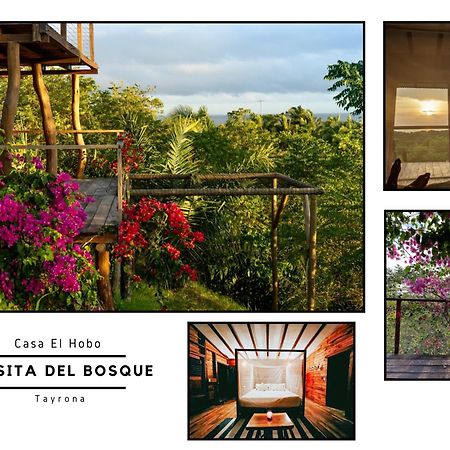 La Casita Del Bosque Villa Santa Marta  Kültér fotó