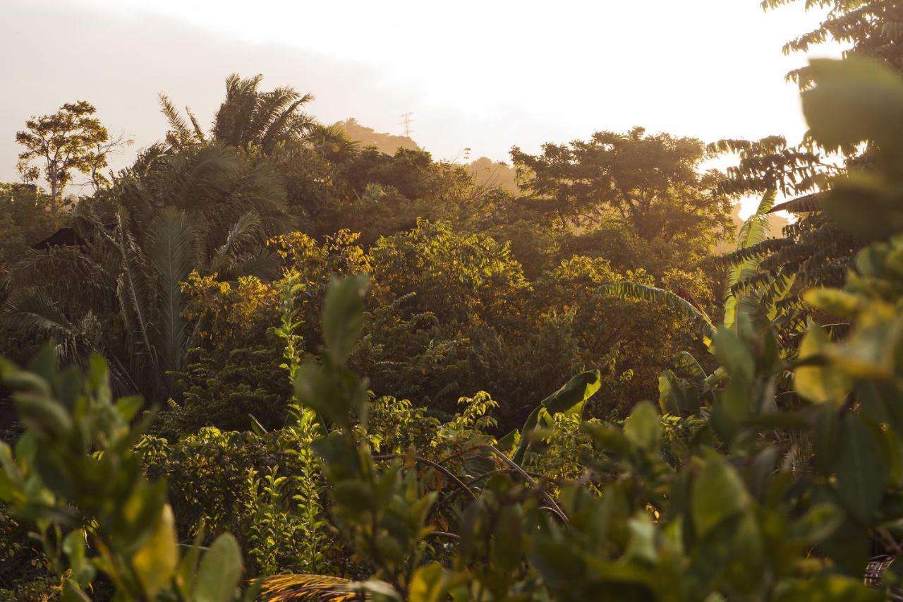La Casita Del Bosque Villa Santa Marta  Kültér fotó