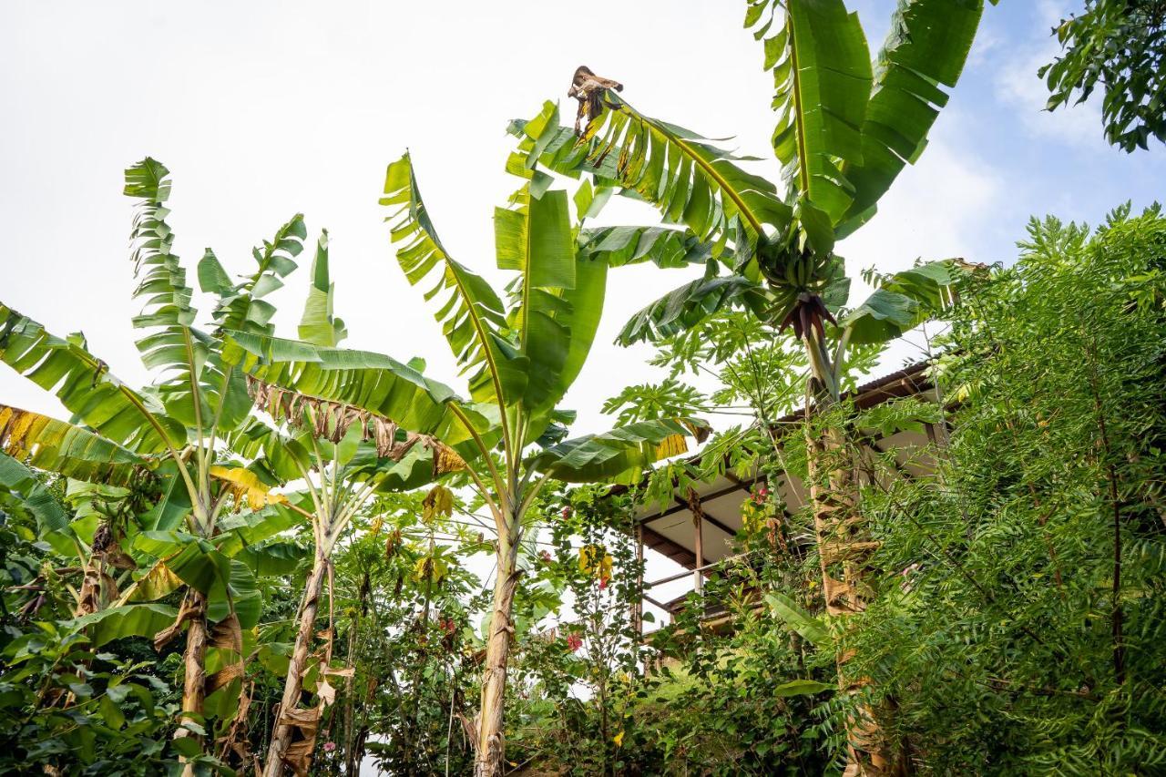 La Casita Del Bosque Villa Santa Marta  Kültér fotó