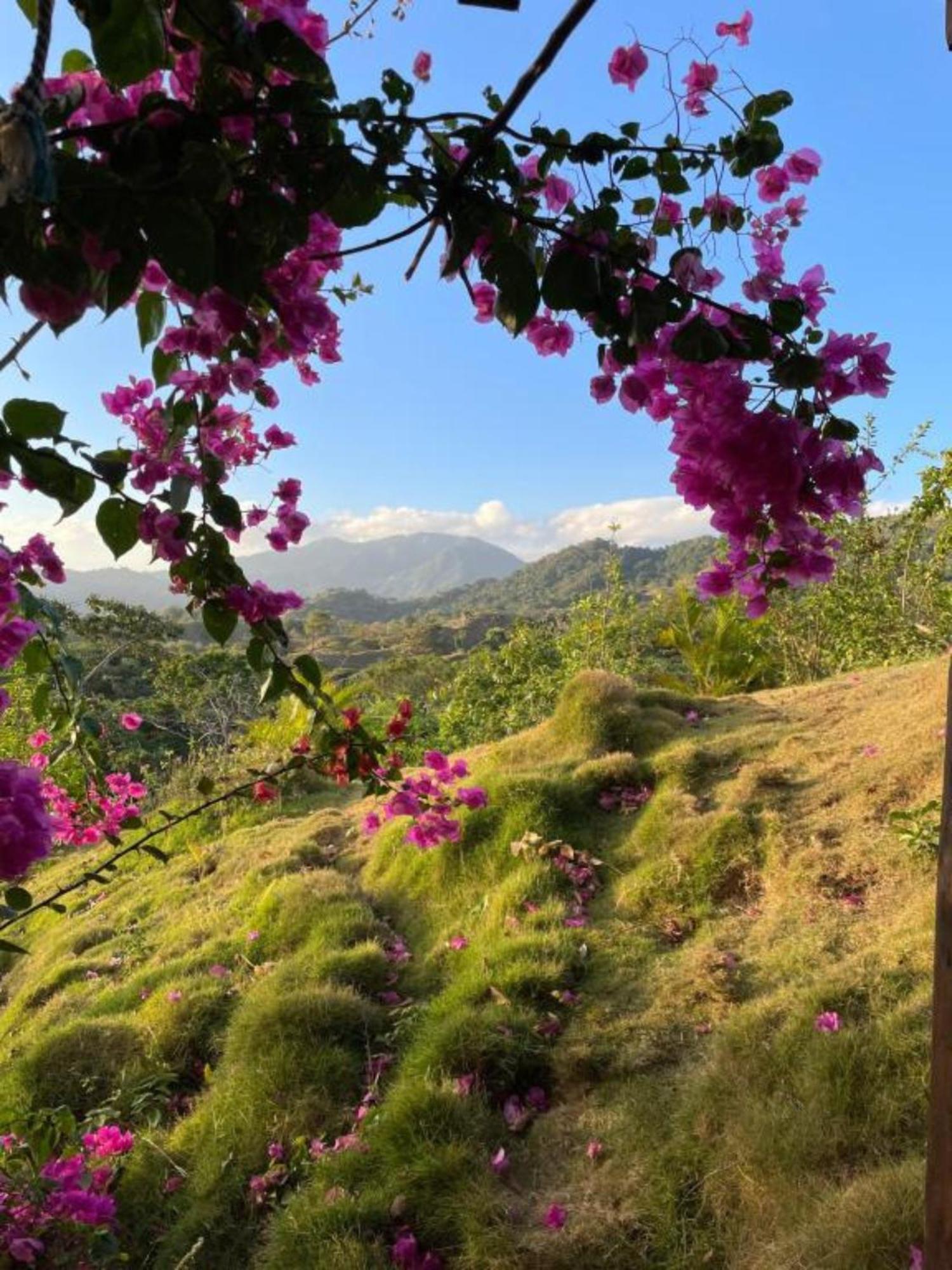 La Casita Del Bosque Villa Santa Marta  Kültér fotó