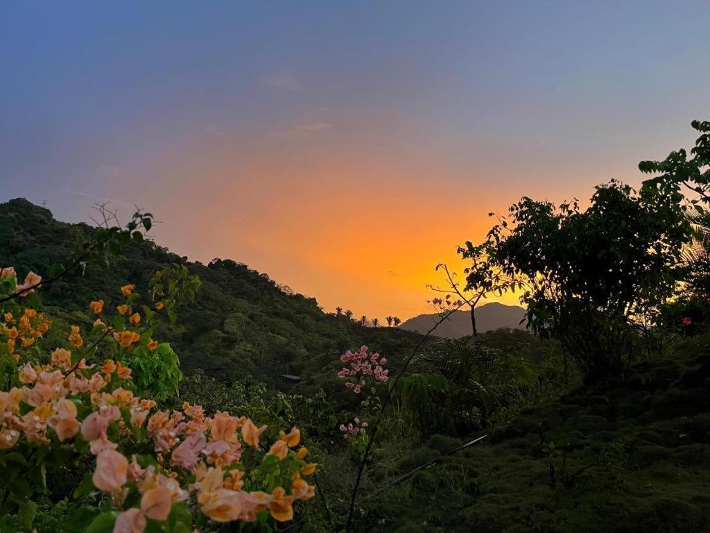 La Casita Del Bosque Villa Santa Marta  Kültér fotó