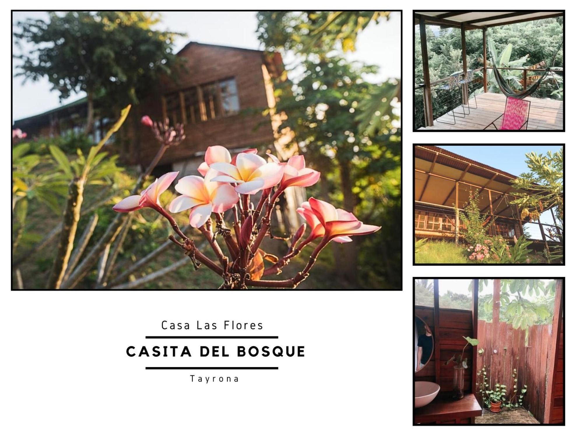 La Casita Del Bosque Villa Santa Marta  Kültér fotó