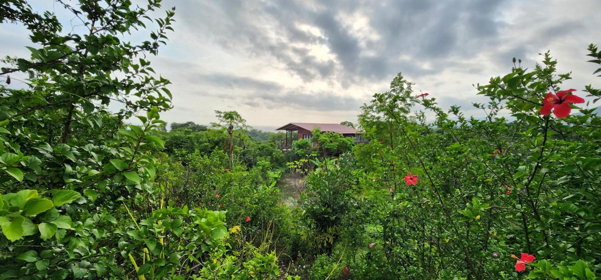 La Casita Del Bosque Villa Santa Marta  Kültér fotó